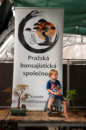 Bonsaje 2025 - vernisáž - foto 20