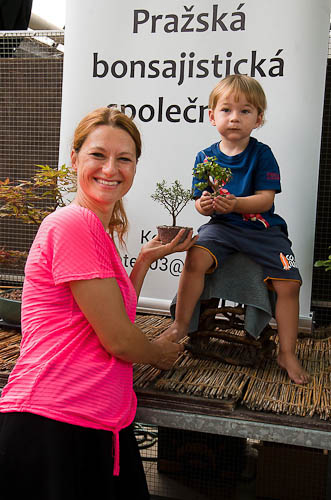Bonsaje 2025 - vernisáž - foto 21