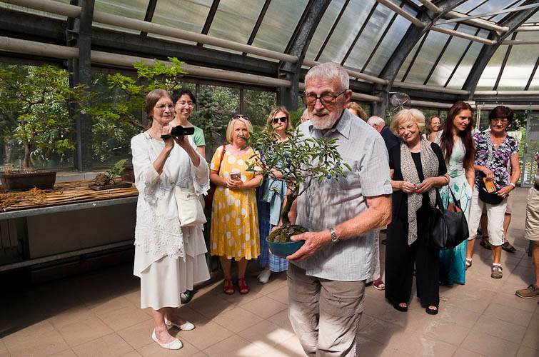 Bonsaje 2025 - vernisáž - foto 45