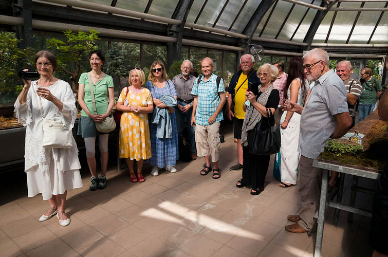 Bonsaje 2025 - vernisáž - foto 52