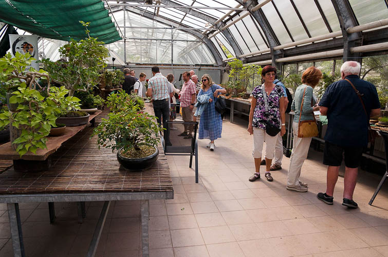 Bonsaje 2025 - vernisáž - foto 62