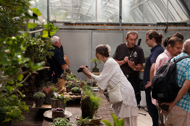 Bonsaje 2025 - vernisáž - foto 71