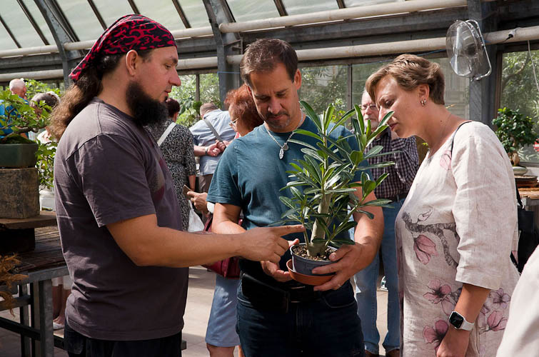 Bonsaje 2025 - vernisáž - foto 75