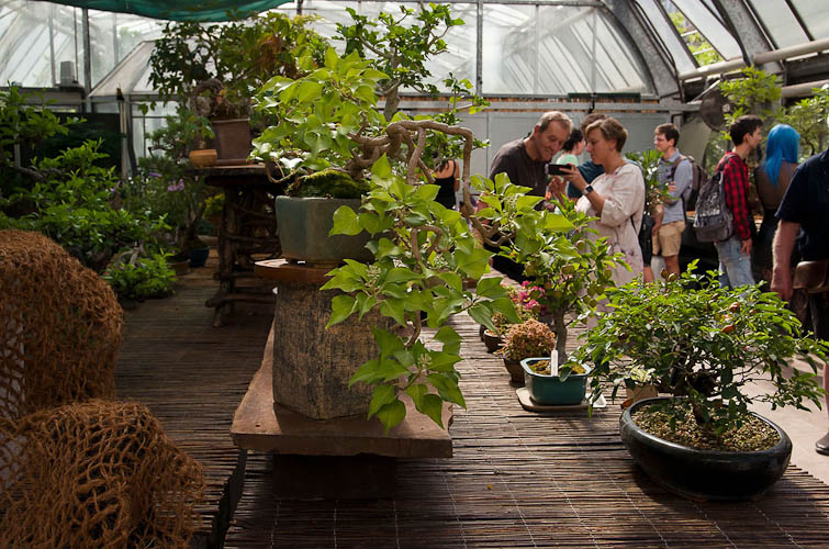 Bonsaje 2025 - vernisáž - foto 81